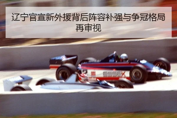 liao-ning-guan-xuan-xin-wai-yuan-bei-hou-zhen-rong-bu-qiang-yu-zheng-guan-ge-ju-zai-shen-shi-2-212.jpg